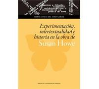 Experimentacion, Intertextualidad E Historia En La Obra De S - [Livre en VO] Del Toro Garca, Mara Leticia (Auteur)