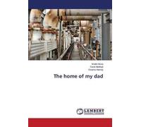 Experimental And Numerical Study Of Dilute Gas-Solid Flow