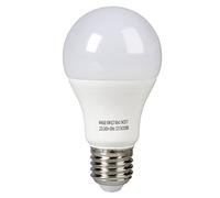 Expert Line 494658 Ampoule led, 10 W, Blanc