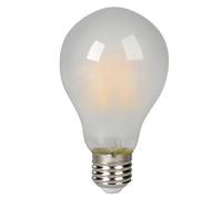 Expert Line 494969 Ampoule led, 10 W, Blanc