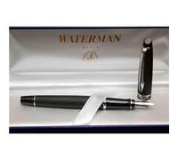 Waterman Expert stylo-plume