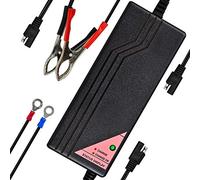 ExpertPower Chargeur Intelligent 12 V 5 A pour Batteries Rechargeables au Lithium LiFePO4 à Cycle Profond