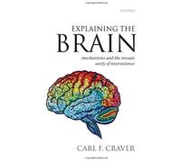 Explaining The Brain