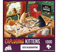 Exploding Kittens Jigsaw Puzzles for Adults - Cats in Quarantine - 1000 Piece Jigsaw Puzzles for Family Fun & Game Night, PQUAR-1K-6