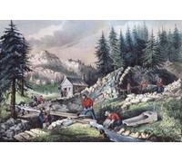 Exploitation minière d'or pendant la ruée vers l'or en Californie de 1848 à 1855. L'image montre différentes techniques minières, y compris l'écluse panoramique et l'excavation avec des jets d'eau