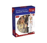 - Explora - Anatomie squelette - Experience anatomie