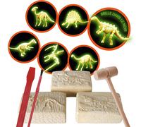 Explora Sciences- Explora Paléontologue 6 Squelettes De Dinosaures Phosphorescents-Paléonthologie-039400-Modèle Réaliste De 12 Pièces-10 Cm-Kit De Découverte-À Partir De 6 Ans, 039400
