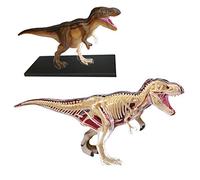 Permanent Mixte Bte/Explora Paleontologie T Rex 27