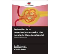 Exploration de la microstructure des reins chez la pintade (Numida meleagris)