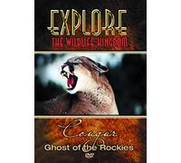 Explore the Wildlife Kingdom Series: Cougar [Import USA Zone 1]