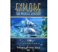 Explore The Wildlife Kingdom Series: Dolphins [Dvd] [Region 1] [Us Import] [Ntsc]