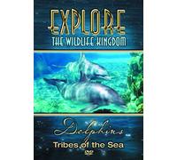 Explore the Wildlife Kingdom Series: Dolphins [Import USA Zone 1]