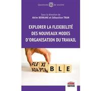 Explorer la flexibilité des nouveaux modes d'organisation du travail Akim Berkani (Auteur), Sébastien Tran (Auteur)