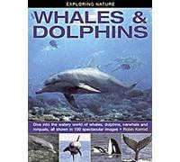 Explorer la nature : Baleines et dauphins
