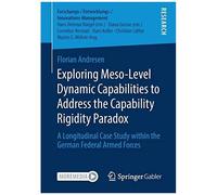Exploring Meso-Level Dynamic Capabilities To Address The Capability Rigidity Paradox