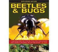 Exploring Nature: Beetles & Bugs: A Captivating Inside View Of Life Of Two Of The Most Successful Insect Species On The Planet, With Over 200 Pictures (Hardcover) Dr Jen Green, (Auteur)