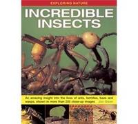 Exploring Nature: Incredible Insects: An Amazing Insight Into The Lives Of Ants, Termites, Bees And Wasps, Shown In More Than 220 Close-Up Images (Hardcover) Dr Jen Green, (Auteur)