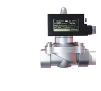 Explosion Proof Solenoid Valve Stainless Steel Normally Closed Natural Gas Coal Gas IICT4 Explosion Proof Grade 12V 24V 220V(110VAC_NORMALLY CLOSED)