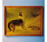 Explosions In The Sky - The Rescue [Vinyl Lp] Orange