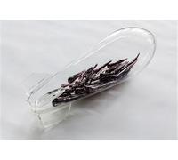 Exposure: Native Art And Political Ecology