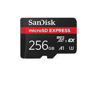 Express - Carte mémoire flash - 256 Go - microSDXC UHS-I