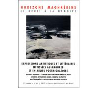 Expressions artistiques et littéraires metissees au maghreb et en milieu postmig - Mohammed Habib Samrakandi - Presses Universitaires Du Midi - broché - Revue