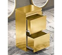 exproyzk Meuble de Rangement pour Salon de Coiffure, Acier Inoxydable, Organiseur d'outils de Coiffure, Meuble de Rangement pour Salon de beauté, Spa, barbier, Tatouage(Gold,78x40x30cm)