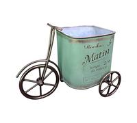 EXQIOUR Bicyclettes uniques en métal jolis pots de fleurs artistiques sur le thème du cyclisme pour pelouses et jardins, conteneur décoratif pour plantes