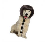 EXQIOUR Perruques courtes créatives pour chien - Accessoires de fête - Coiffe courte pour animal domestique de petite et grande taille - Accessoire pour Halloween