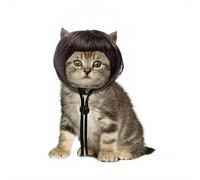 EXQIOUR Perruques courtes créatives pour chien - Accessoires de fête - Coiffe courte pour animal domestique de petite et grande taille - Accessoire pour Halloween