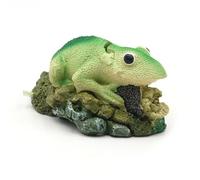 Exquisites Reptiles Aquariums Grand aquarium Décoration pour la maison, le bureau, l'hôtel Décoration pour aquarium et oxygénation