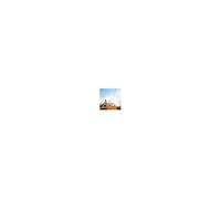 Extended Edition bâton support pour selfies Appareil photo Noir, Charbon