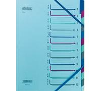 Extendos 43.1206 Trieur 12 compartiments Bleu