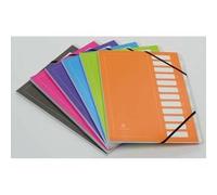Extendos Trieur Avec Élastique Mon Dossier En Carte. 12 Compartiments. Coloris Assortis.
