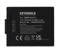 EXTENSILO Batterie compatible avec Panasonic Lumix DMC-GH1, DMC-GF1W, DMC-GF1R, DMC-GF1S, DMC-GH1K appareil photo (1250mAh, 7,4V, Li-ion)