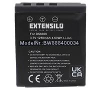 EXTENSILO Batterie Remplacement pour DS8330-1 pour Appareil Photo (1250mAh, 3,7V, Li-ION)