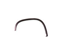 Extension d'aile arrière droite Volkswagen Tiguan 1 phase 1 2007-2011 - 5N0854820B9B9