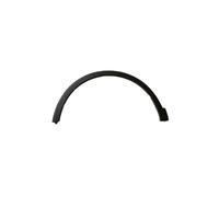 Extension d'aile avant gauche noire MG ZS 2020-2021 - 10252367