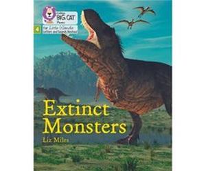 Extinct Monsters by Liz Miles Liz Miles (Auteur)