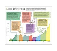 Extinction Events Poster Mass Extinctions Timeline Paleontology | Visual Guide to the Five Major Dying Events in History(Framed,12X18inch(30X45cm))
