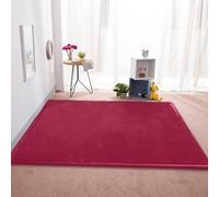 Extra Large Washable Coral Velvet Rug with Non-Slip Bottom - Ideal for Bedroom, Office, and Crawling Mat