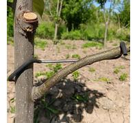 Extracteur de branches d'arbre fruitier, nouvel épandeur de branches de fruits en plastique enveloppé de fil de fer n'endommage pas les branches, outil de pliage de branche stéréotypé pour arbre (18T)