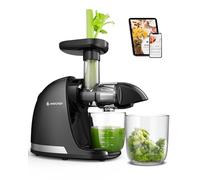 Extracteur de Jus AMZCHEF - Extracteur de Juits Lent Silencieux avec Fonction Inversée pour Fruits et Légumes | Inc. Pichet et Brosses de Nettoyage (150 W, Noir)