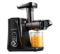 Extracteur de jus - AMZCHEF - GM3001-BK - Noir - Lent - Petit Électroménager