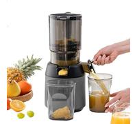 Extracteur de jus de canne à sucre, extracteur de jus à mastication à froid, extracteur de jus lent professionnel, goulotte d'alimentation de 13 cm, séparateur de marc portable (gris)