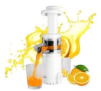 Extracteur de jus de canne à sucre, mini extracteur de jus à mastication lente, presse à froid 300 ml pour céleri, fruits et légumes