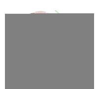Extracteur de Jus Portable - Bouteille Mixeur Multifonction Sans Fil - Maison Jardin Voyage Bureau Sport Plein Air
