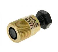 Extracteur de Roue Polaire Buzzetti M22 x 1 mm, Filetage à Droite