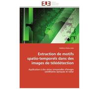 Extraction De Motifs Spatio-Temporels Dans Des Images De Télédétection