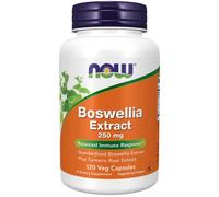 Boswellia Extrait 250 MG 120 Capuchons Par NOW Foods